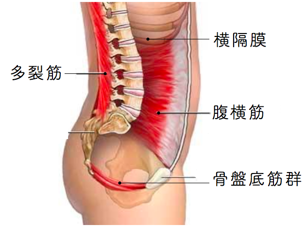 画像１